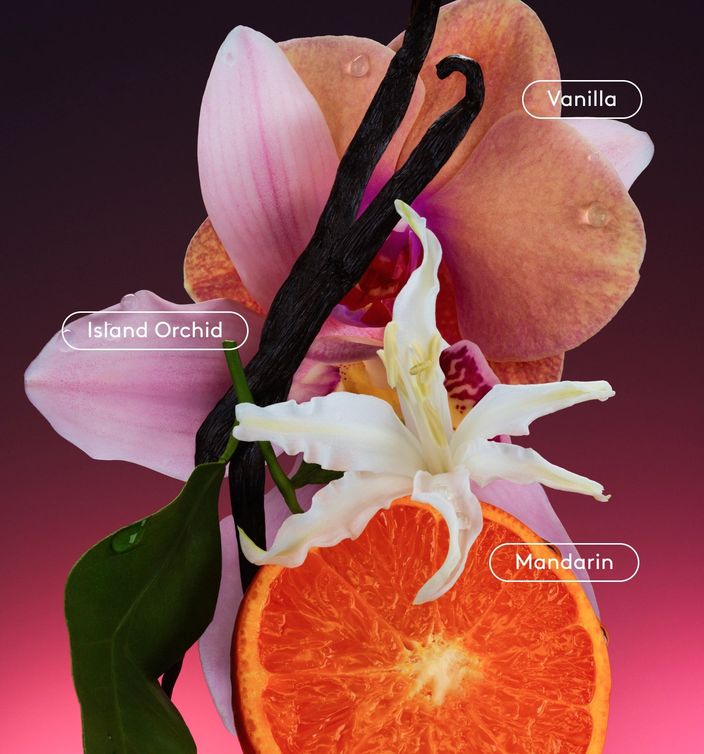 The Super Pink Bundle