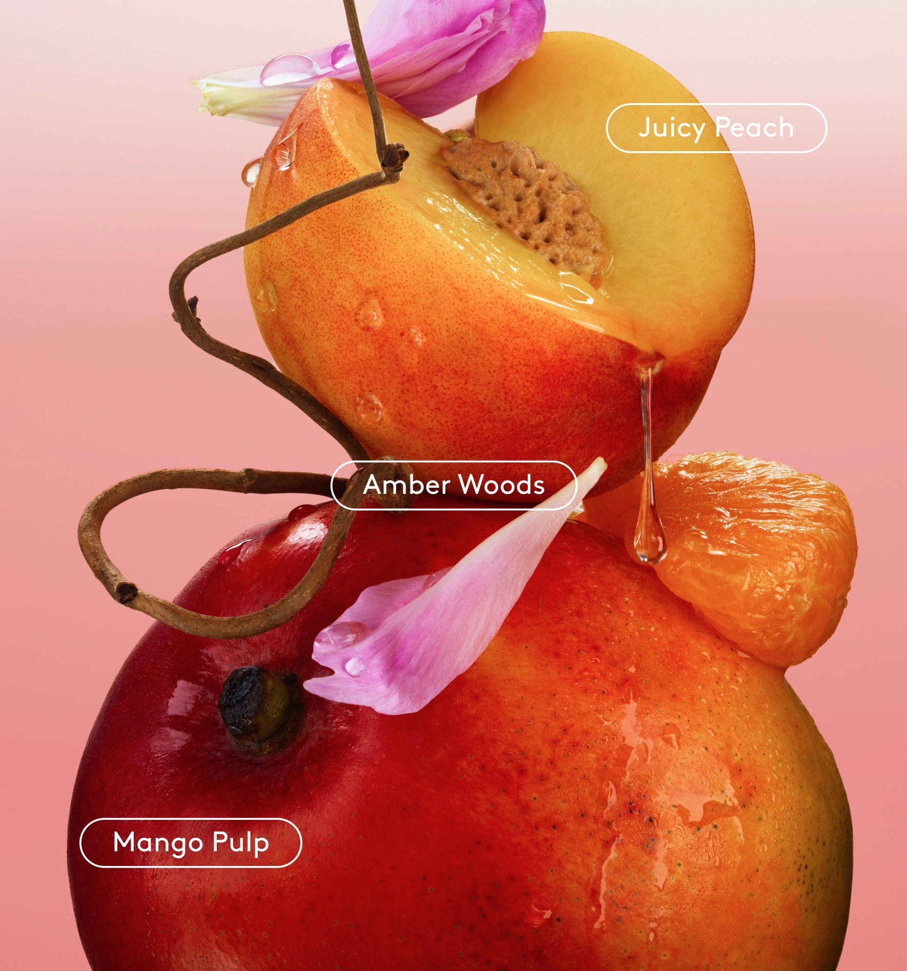#scent_peach velvet