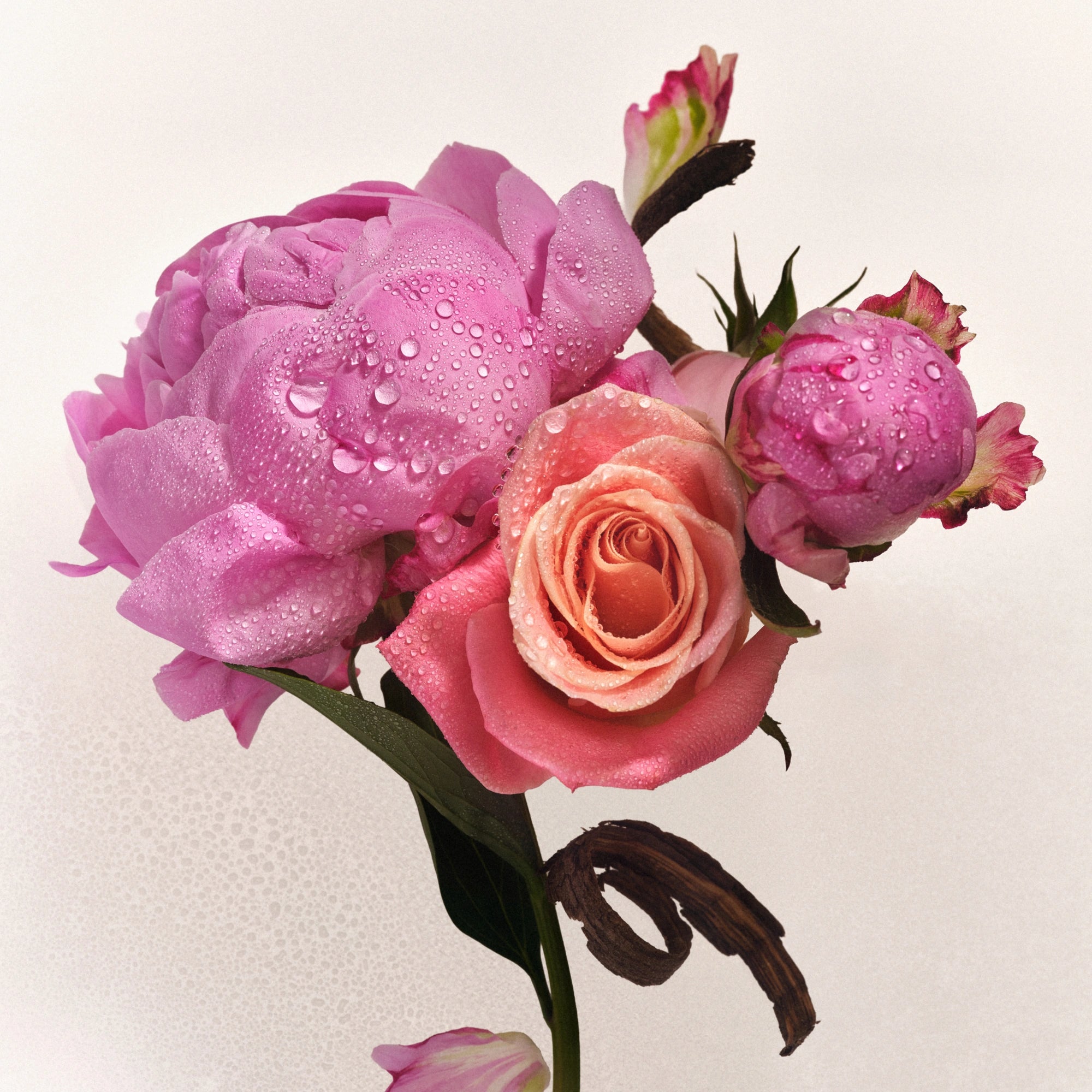 Skin Perfecting Body Lotion