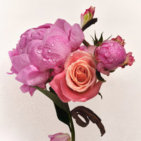 Full Body Fragrance Routine