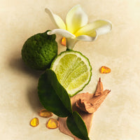 Skin Perfecting Body Lotion