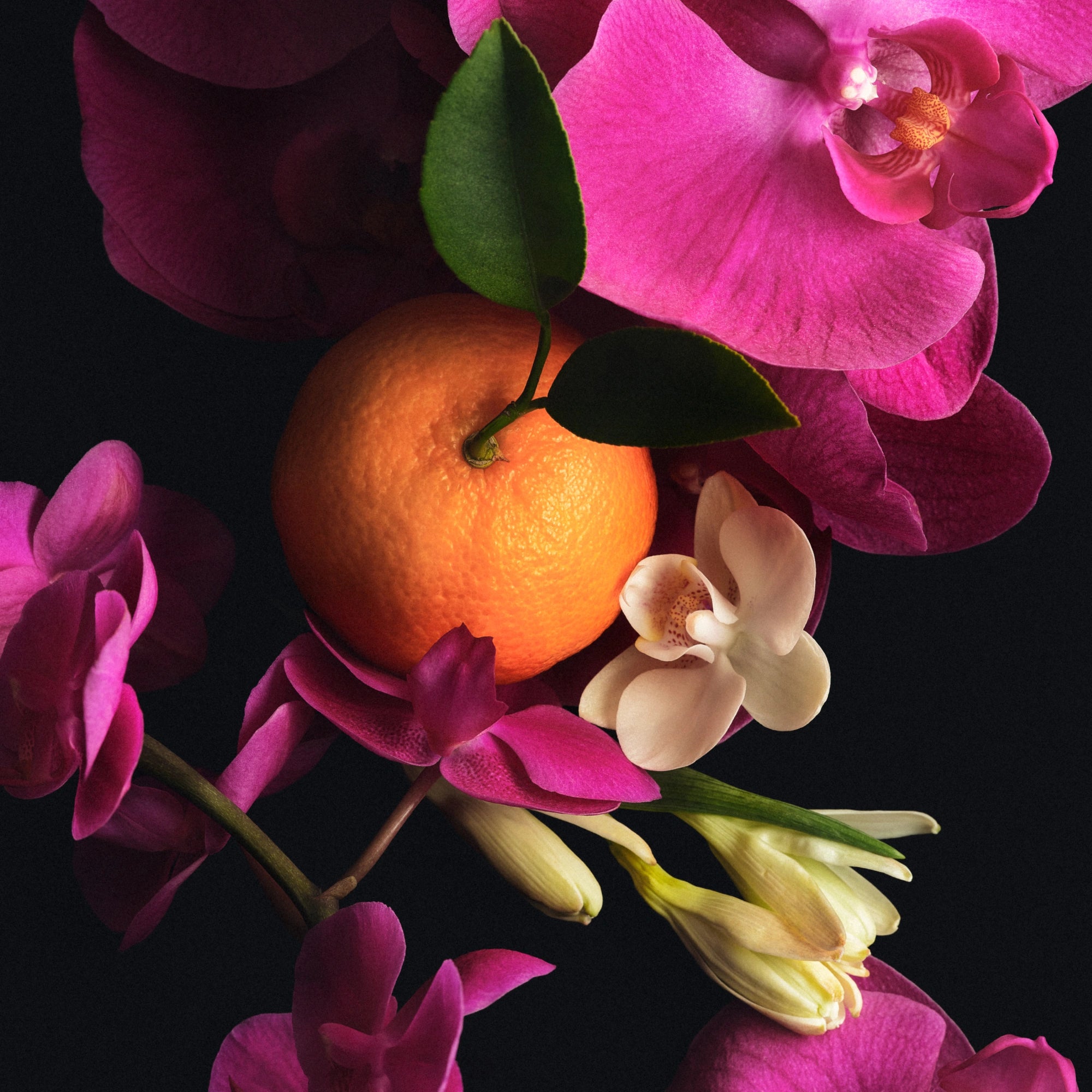 Skin Perfecting Body Lotion