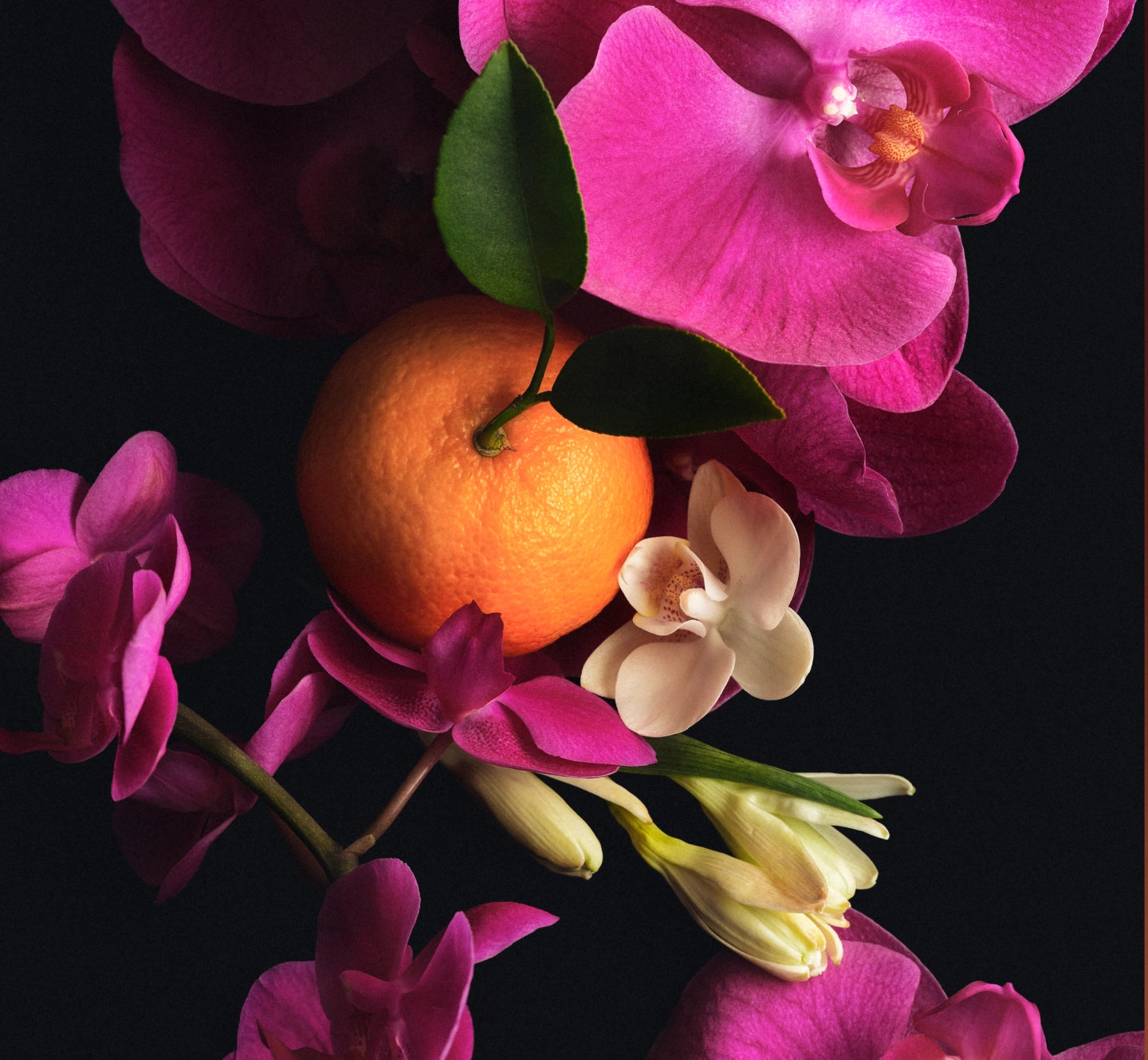 Athena fragrance story ingredients
